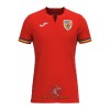 Officiële Voetbalshirt Roemenië Uit 2023 - Heren